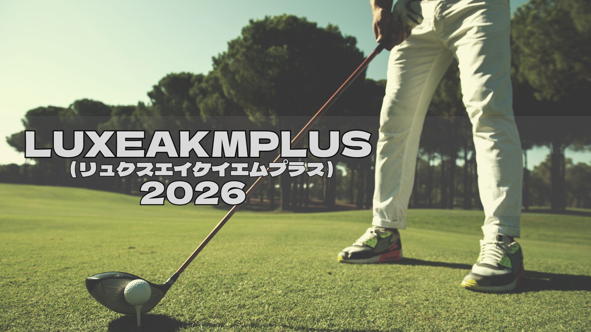 LUXEAKMPULS福袋2026購入必須!予約方法/中身ネタバレ