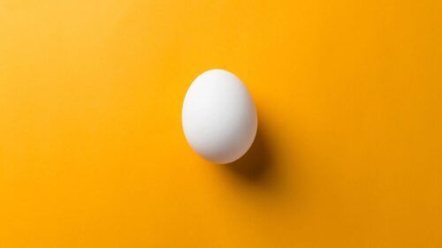 ユニクロ たまごっち